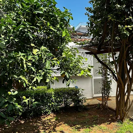 Apartment Antonis's Garden House Athens